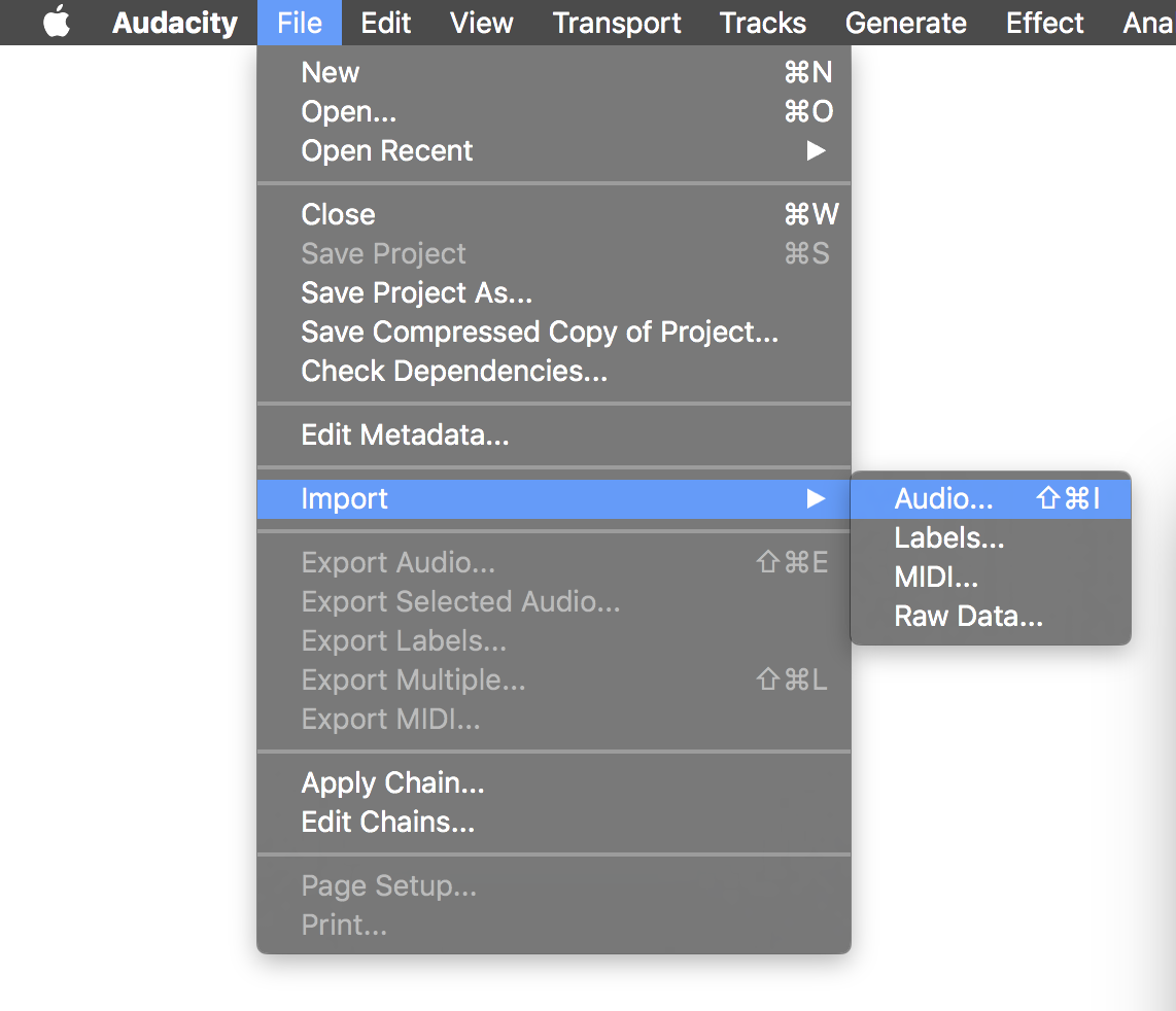 This is a screenshot of how the Importing of Audio into Audacity appears during the editing process. The menu is grey and the backdrop is white.