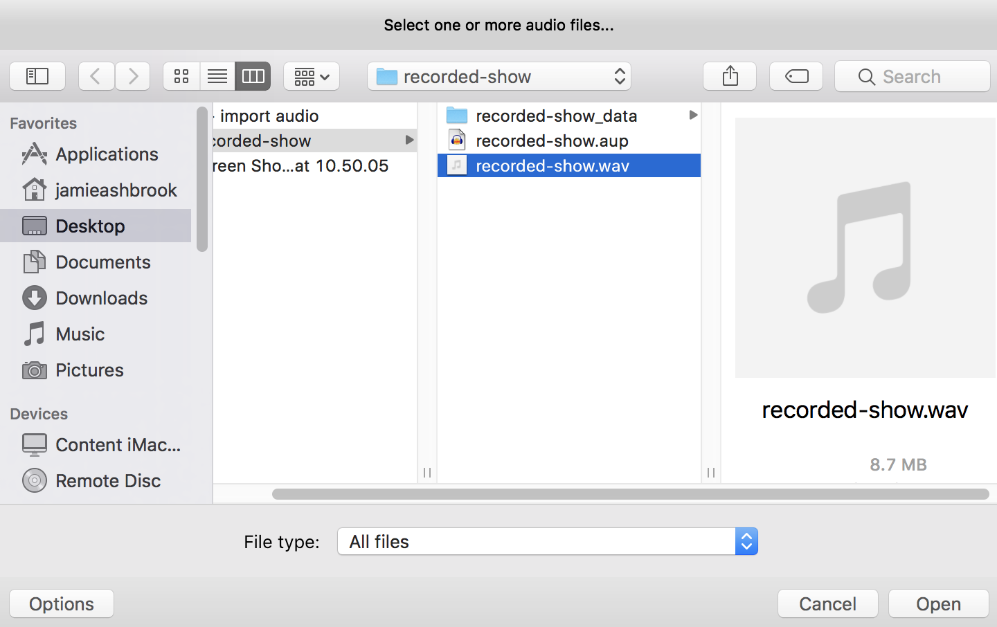 Import Audio File into Audacity