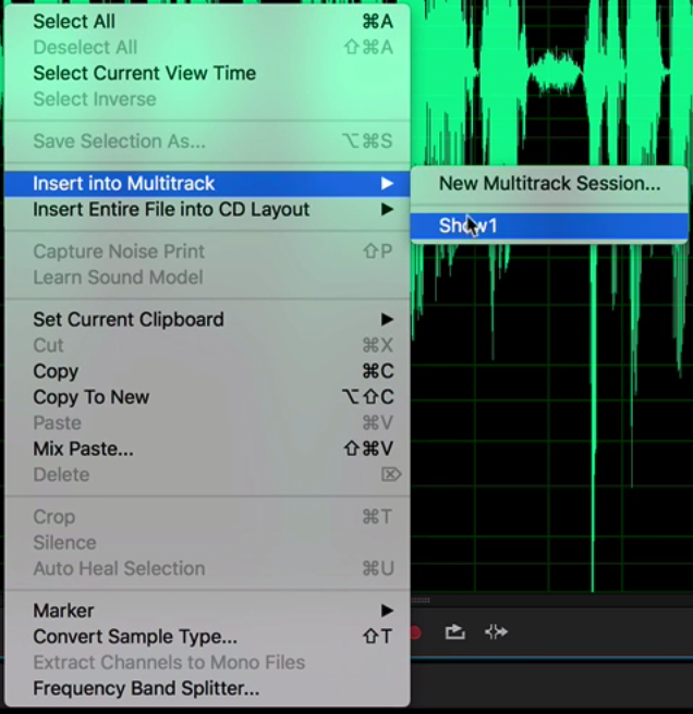 This is a screenshot illustrating how Inserting an Audio Into Multitrack appears.