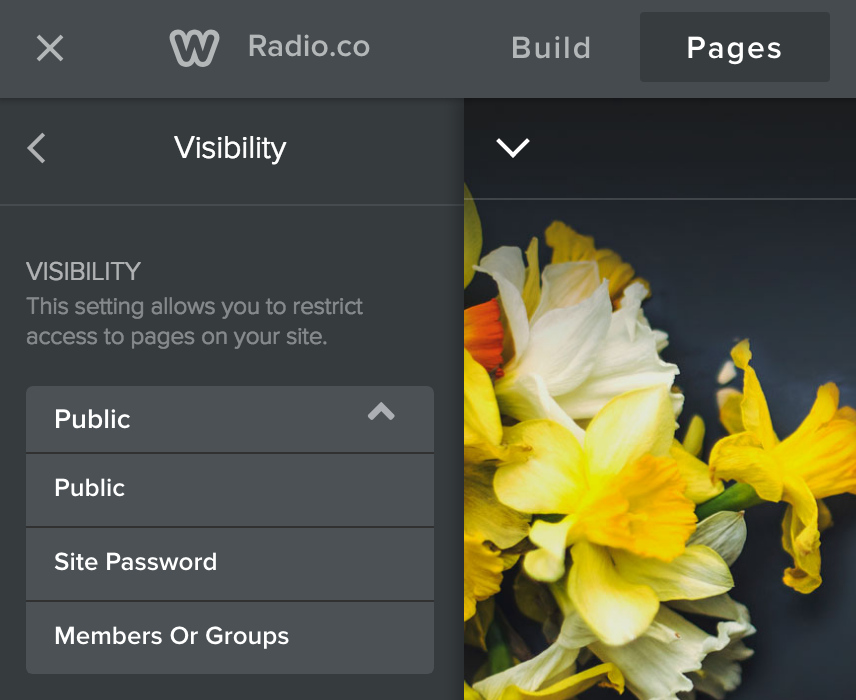 Pages Visibility Weebly