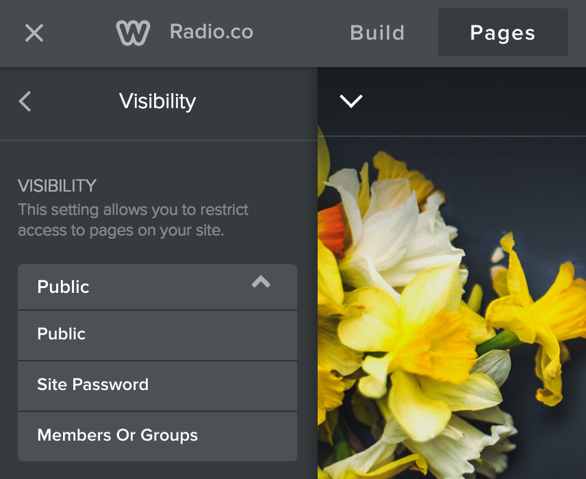 This is a screenshot of editing a Pages Visibility in Weebly