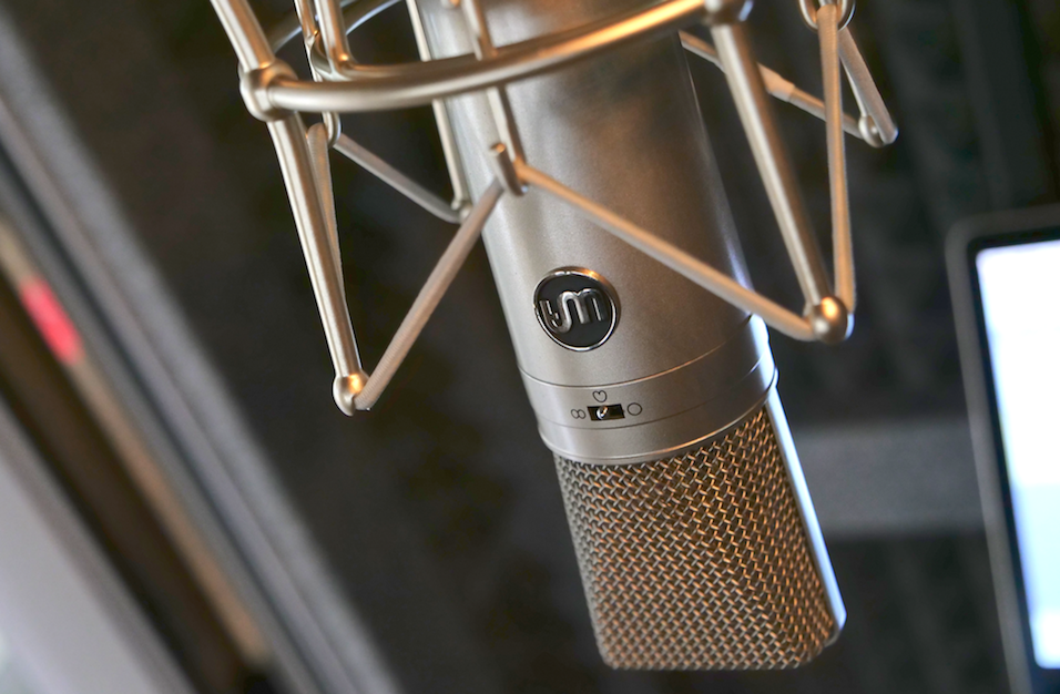Warm Audio WA87 Studio (Close Up)